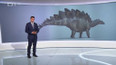 Novinky o dinosaurech