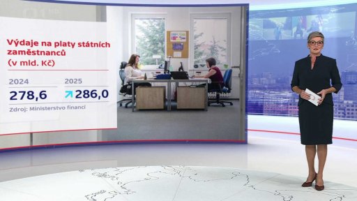 Zaměstnanci veřejné sféry