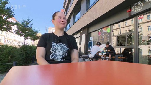 Cizinci zabydlení v Česku