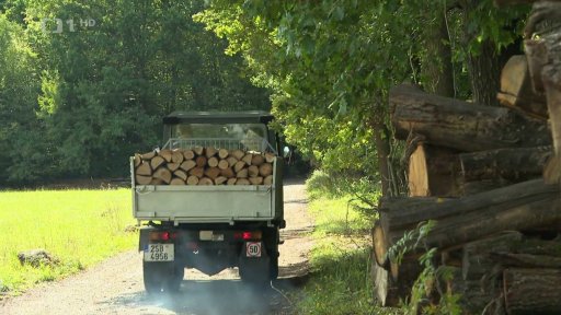 Poptávka po dřevě po létě roste