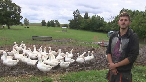 Vývoj cen výrobců