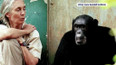 Zemřela Jane Goodallová