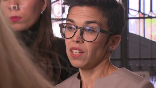 Piráti definitivně bez vedoucích pozic ve Sněmovně