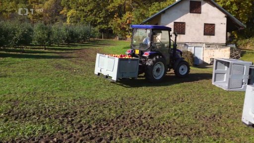 Nadprůměrná úroda ovoce