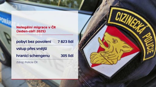 Nelegální migrace v ČR