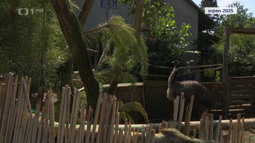 Zooparku ve zvoli hrozí odebrání zvířat