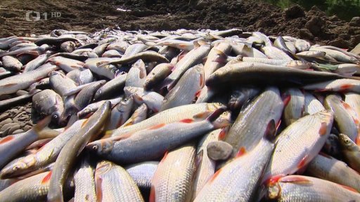 Soud v kauze otravy Bečvy