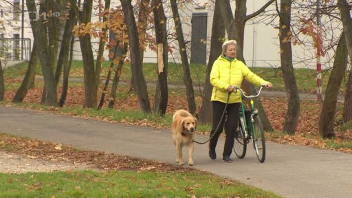 Kontrola povinných čipů