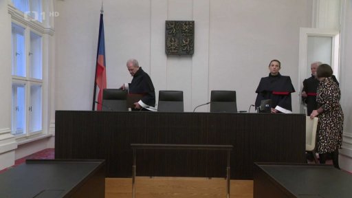 Případy před Ústavním soudem