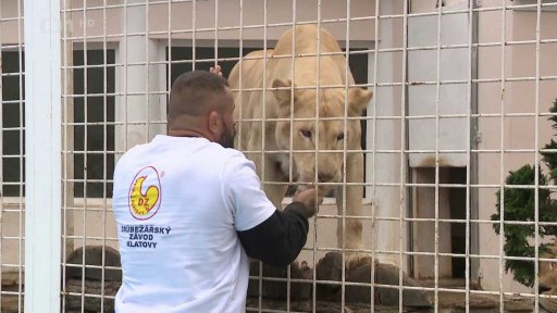 Soud uvalil vazbu na zápasníka Vémolu