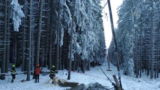 Na lanovku spadl strom