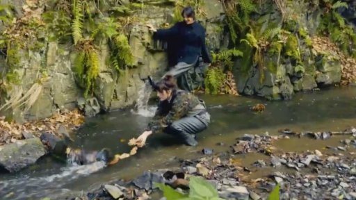 Krátké zprávy z kultury