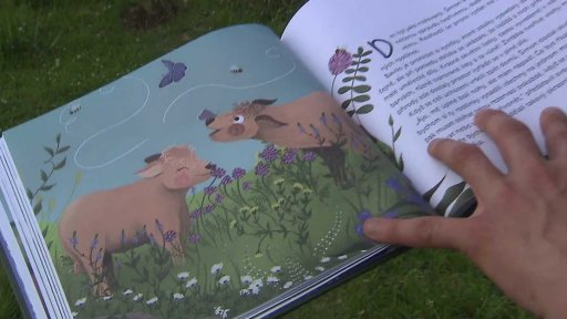 Kniha pohádek o praturech