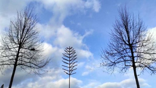 Cena Medy Mládkové 2025