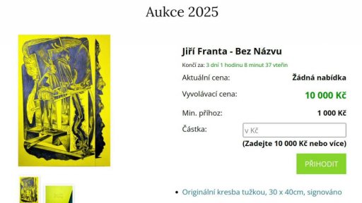 Aukce umění pro romské studenty