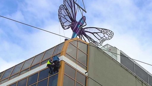 Motýli na budově Máje zůstanou