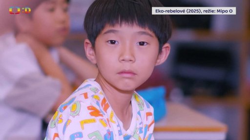 Eko-rebelové na ZFF