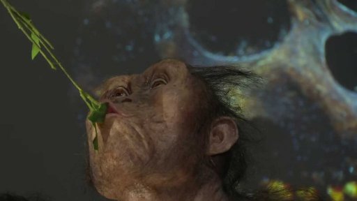 Unikátní výstava: Lucy v Praze