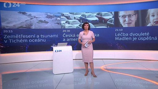 Stručný přehled témat