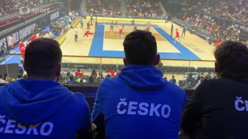 Profil: Postup mužské reprezentace