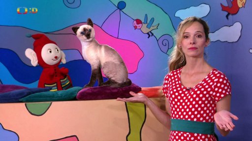 Filípkův kocourek nemá jméno. Lucka má tip na jméno hrdiny knížky Pettson a Fiškus…