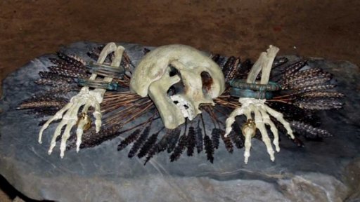 Den otevřených dveří jeskyně Býčí skála