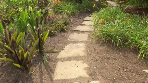 Fascinace rostlinami v Botanické zahradě Praha