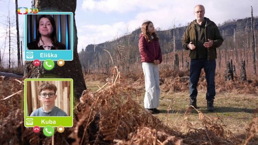 Příroda: Lesy po požáru