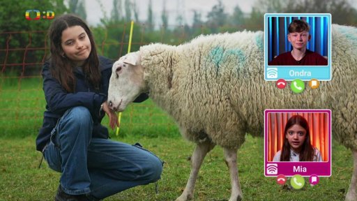 Příroda: Ovce místo sekačky