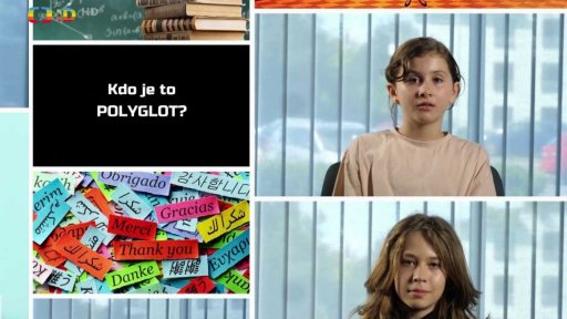 Kdo je to POLYGLOT?