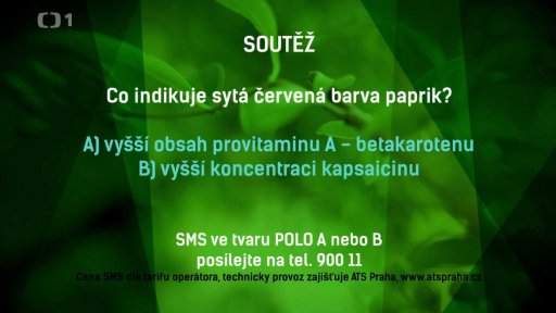 Soutěž POLO