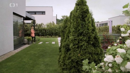 Zahrada u moderního domu