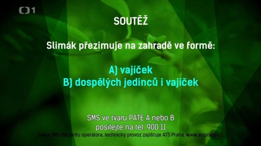 Soutěž PATE