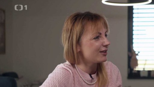 Jak na předvánoční úklid