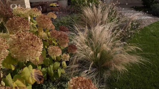 Zahrada rozdělená do zón