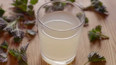 Zázvorová šumivá limonáda s kopřivou