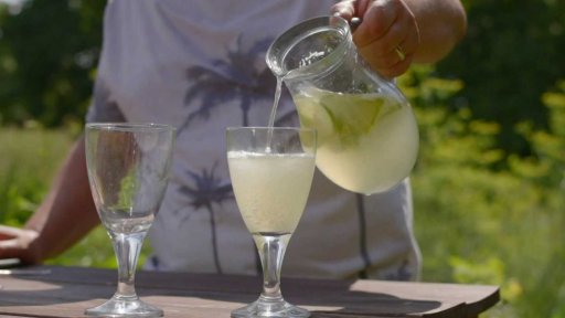 Fenyklová limonáda
