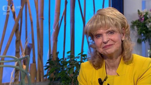 Ekonomické minimum - výdaje na obranu