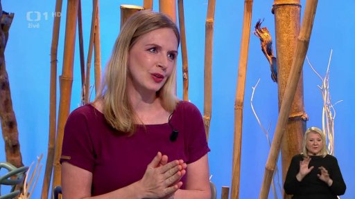 Kola a koloběžky z pohledu fyzioterapeuta