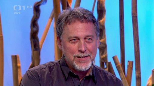 Žlutá žába pluje