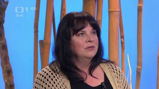 Výchova bez tělesných trestů