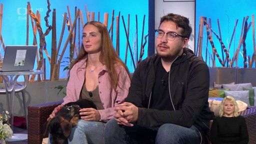 Fyzioterapie pro psy