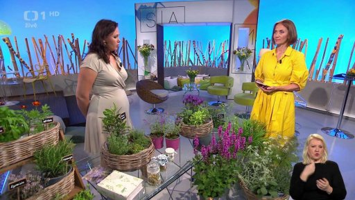 Týdenní seriál - bylinková zahrada