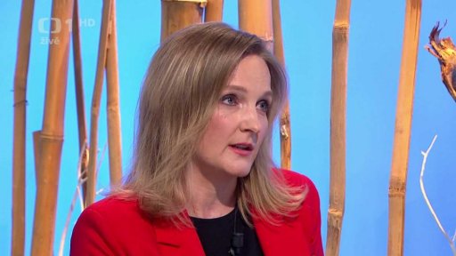 Výživné mezi rozvedenými manželi