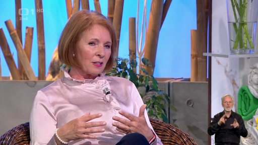 Domácí ekonomika - nákup ojetého auta