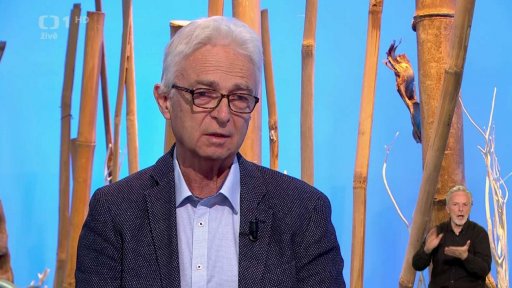 Léčba lymské boreliózy