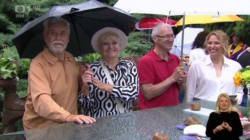 Rozhovor s věrnými diváky