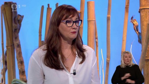 Nová slova v češtině