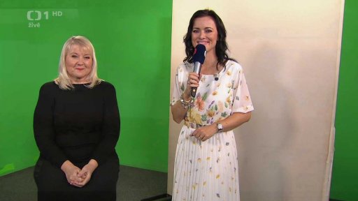 Tlumočnice do znakového jazyka