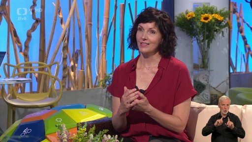 Fyzioterapie - 2. část